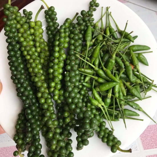 Hạt tiêu xanh loại 1, an toàn VietGAP